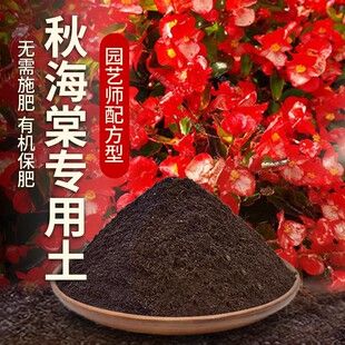 秋海棠专用土肥料蓬松黑土园艺养花种植绿植植物花草秋海棠营养土