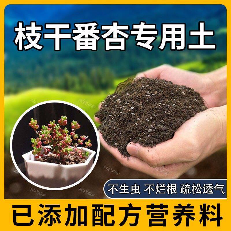 枝干番杏专用土肥料枝干番杏营养土盆栽土壤花盆蓬松泥土植物养花