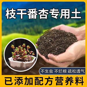 枝干番杏专用土肥料枝干番杏营养土盆栽土壤花盆蓬松泥土植物养花