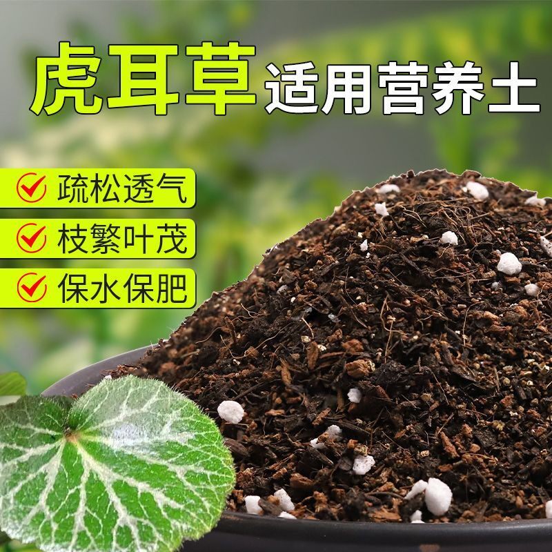 【虎耳草专用土】疏松透气盆栽绿植专用室内植物有机营养土肥料