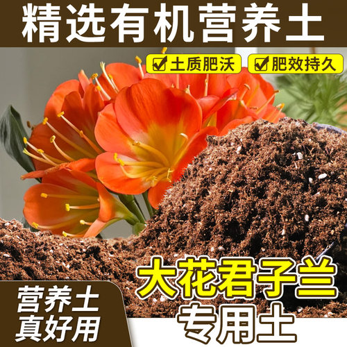 大花君子兰适用花泥温和基质种植土精配原料改良基质无草籽观叶