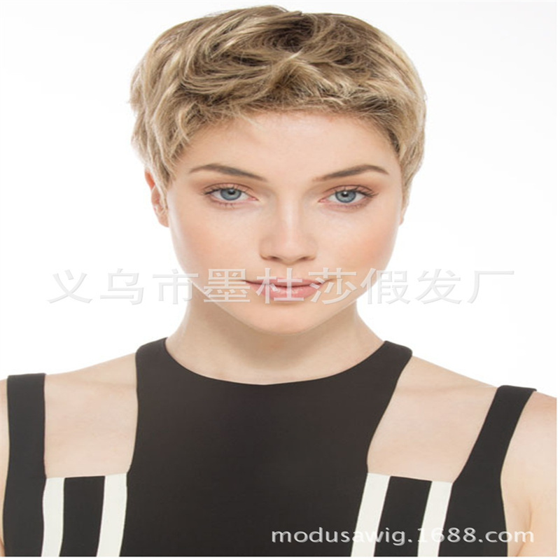 速卖通欧美假发短发外贸时尚女士短卷发超短卷发头套批发SW0461