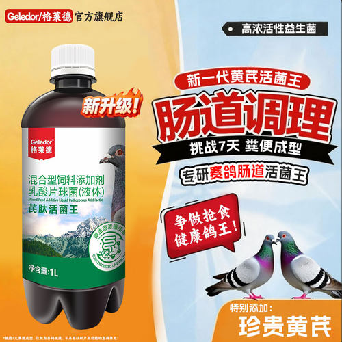 格莱德鸽用活菌【黄芪+乳酸菌】