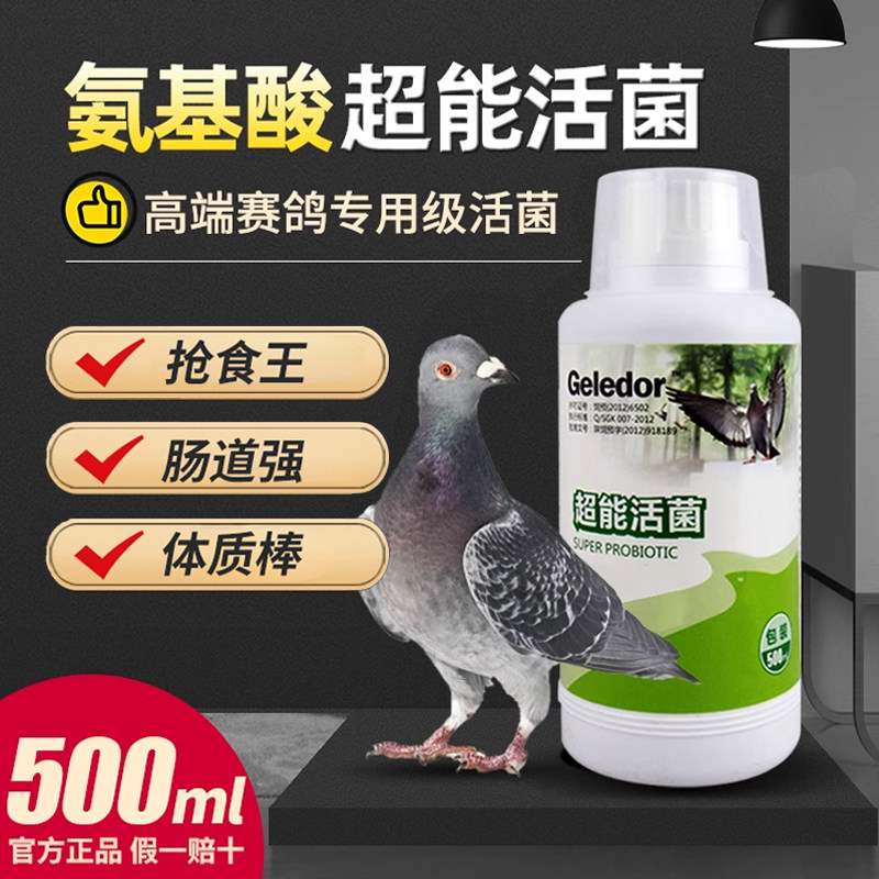 格莱德超能活菌500ml赛鸽种鸽专用活菌王肠道益生菌补充的保健品