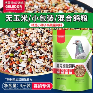 赛鸽种幼鸽子粮食粮魔鬼粮食清除能量鸽粮饲料小包装 无玉米混合型