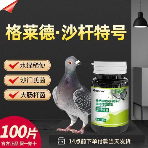 鸽子调理专用保健鸽药大全常见病