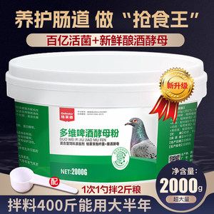 用保健调理鸽子药大全啤酒酵母粉