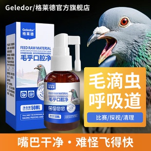 赛种幼信鸽子念珠菌毛滴虫口黄呼吸道非鸽药清理口喷净喷口口腔净