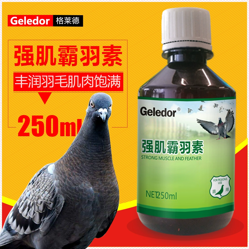 Glad pigeon thuốc Daquan cung cấp điều hòa sức khỏe thiết lập bạo chúa cơ bắp mạnh mẽ tốc độ đua chim bồ câu lông chim y học dinh dưỡng - Chim & Chăm sóc chim Supplies