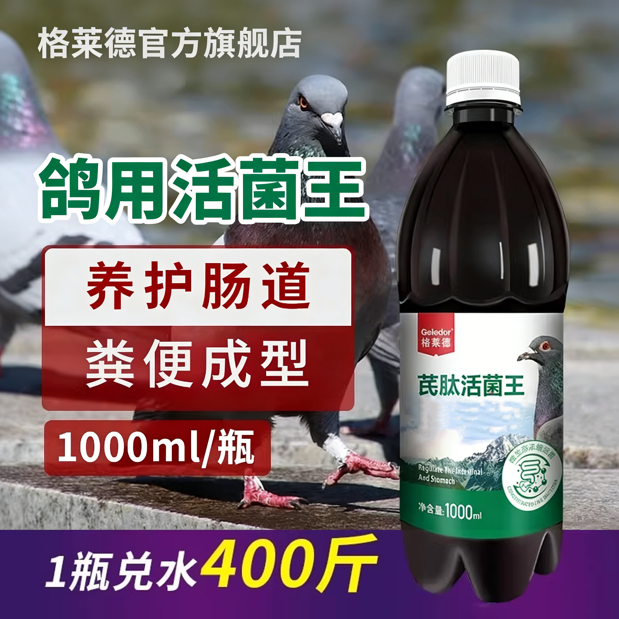 鸽用活菌百亿活菌王益生菌信鸽种鸽鸽子拉稀水绿便肠道营养保健品