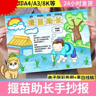 成语故事揠拔苗助长手抄报模板绘画中国古代寓言故事揠苗助长小报