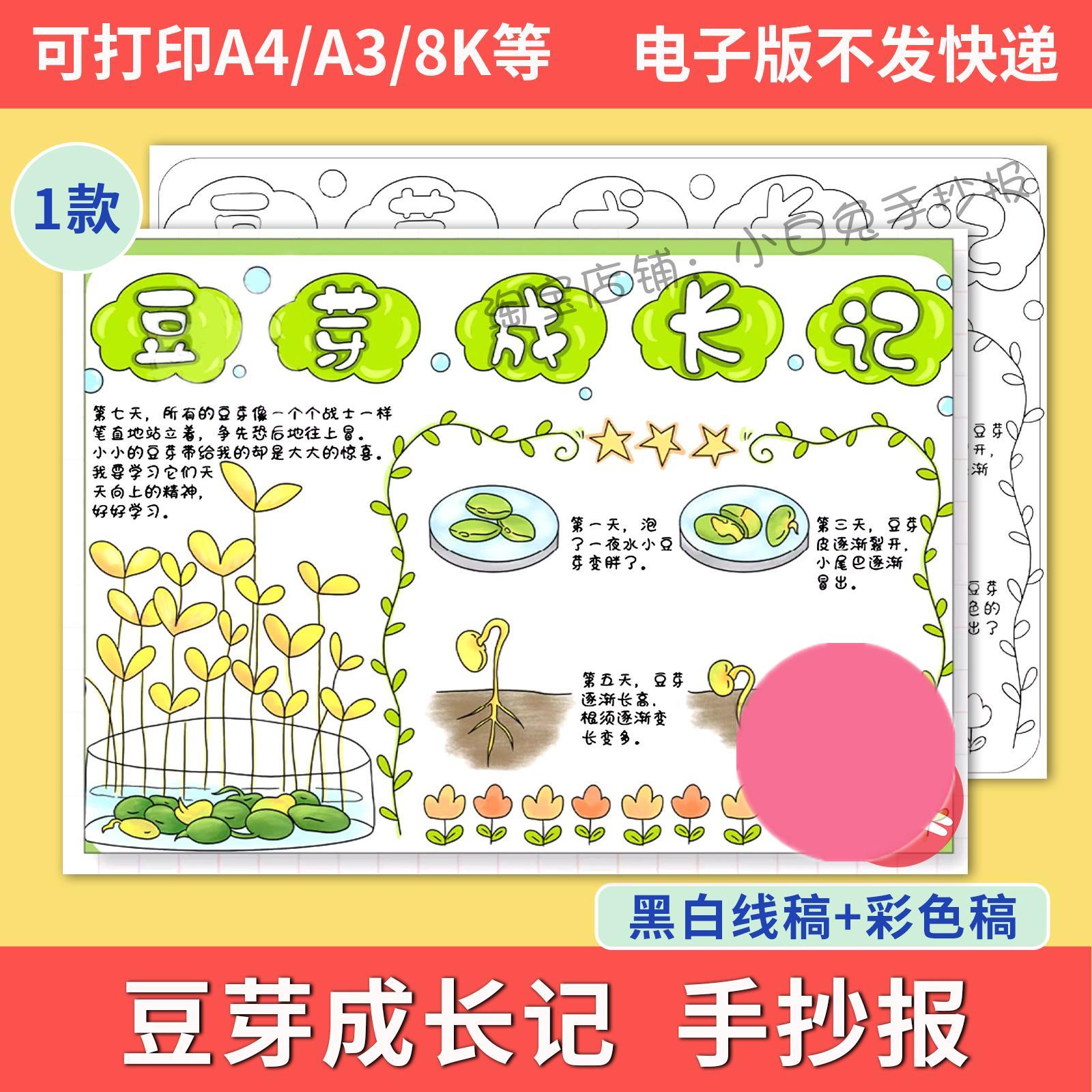 豆芽成长记手抄报电子模板植物生长观察日记小学生记录表线稿A3A4