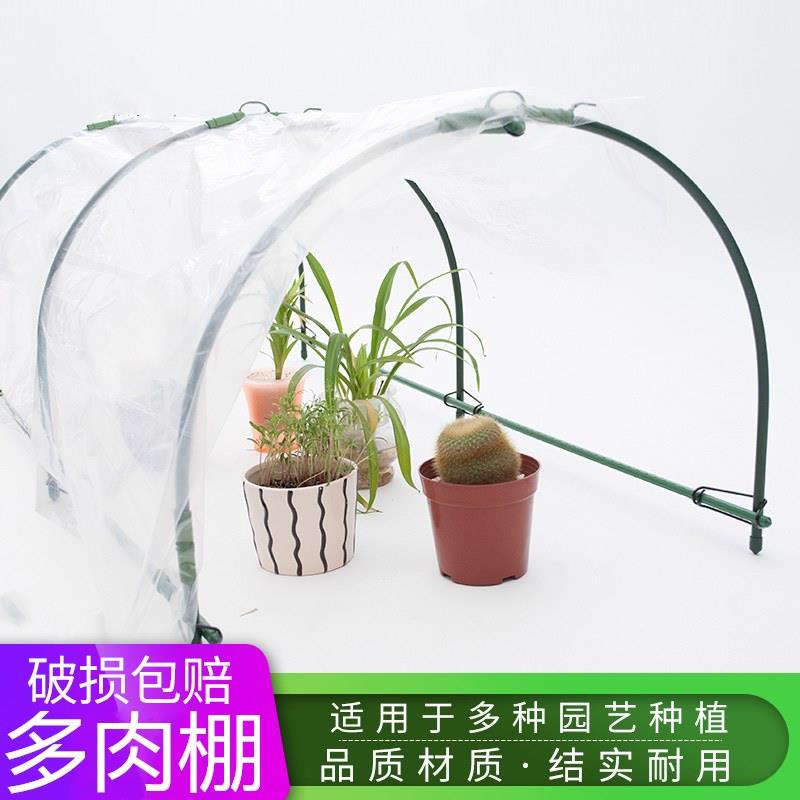 Awning Bracket Scaffolding ceratostigma minus Summer Plant stand Awnings space Rain Occlusion greenhouse Tent polein the Flower delivery/Flowers simulation/Plants gardening , Gardening supplies , Other Garden Supplies  category - from Buy2taobao.com to provide professional Taobao agent buy service