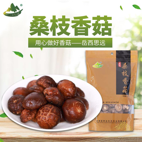 桑香菇产地直供大别山岳西特产干货桑枝香菇250克袋装包邮