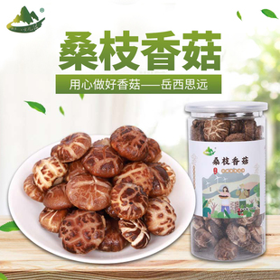 桑香菇产地直供大别山岳西特产干货桑枝香菇140克罐装包邮