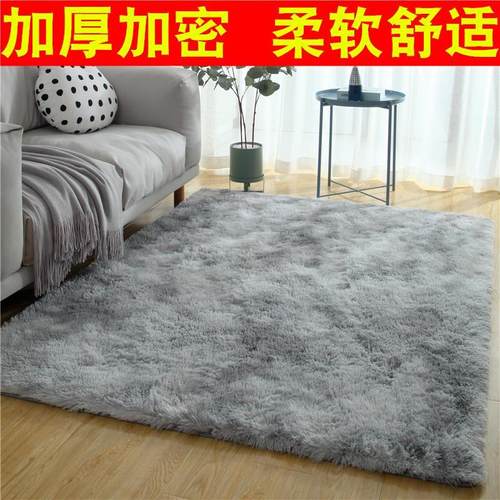 CarpetsPlushcbedroomg