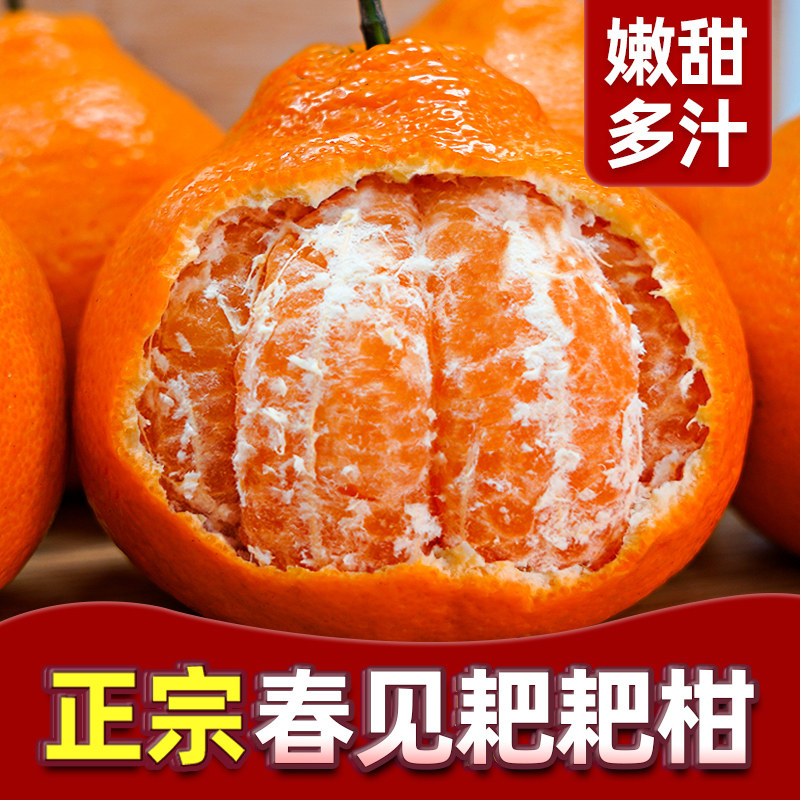 四川春见耙耙柑粑粑柑橘子现摘新鲜水果当季整箱斤丑桔杷杷大特甜 - 堡鲜生旗舰店出品