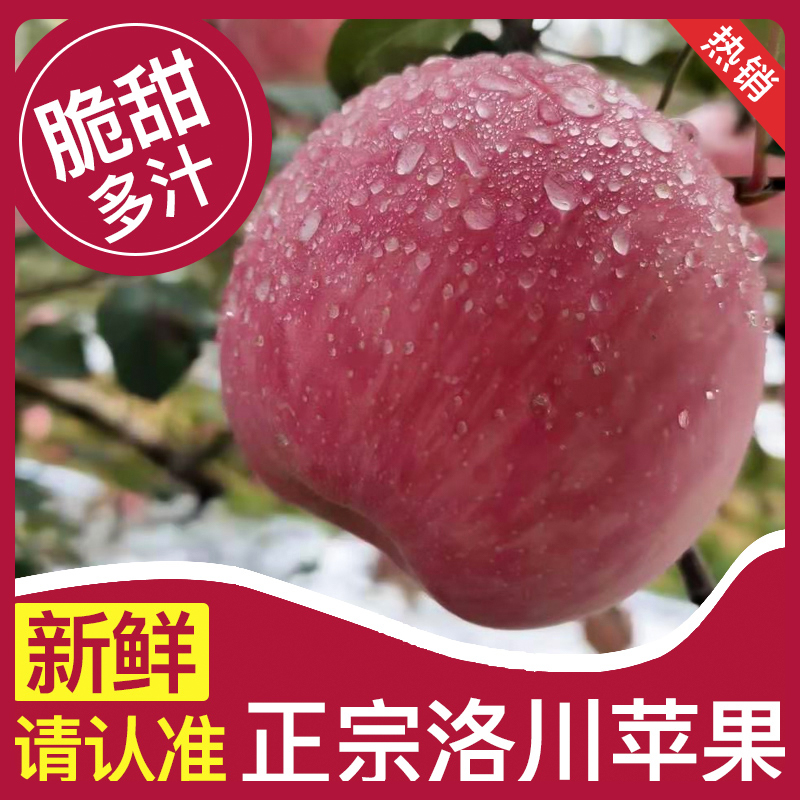 正宗陕西洛川苹果一级新鲜水果吃冰糖心红富士应当季整箱10斤包邮