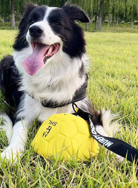 CSV宠物红色训犬德牧马犬训练耐咬充气皮球牛皮足球皮革金毛玩具