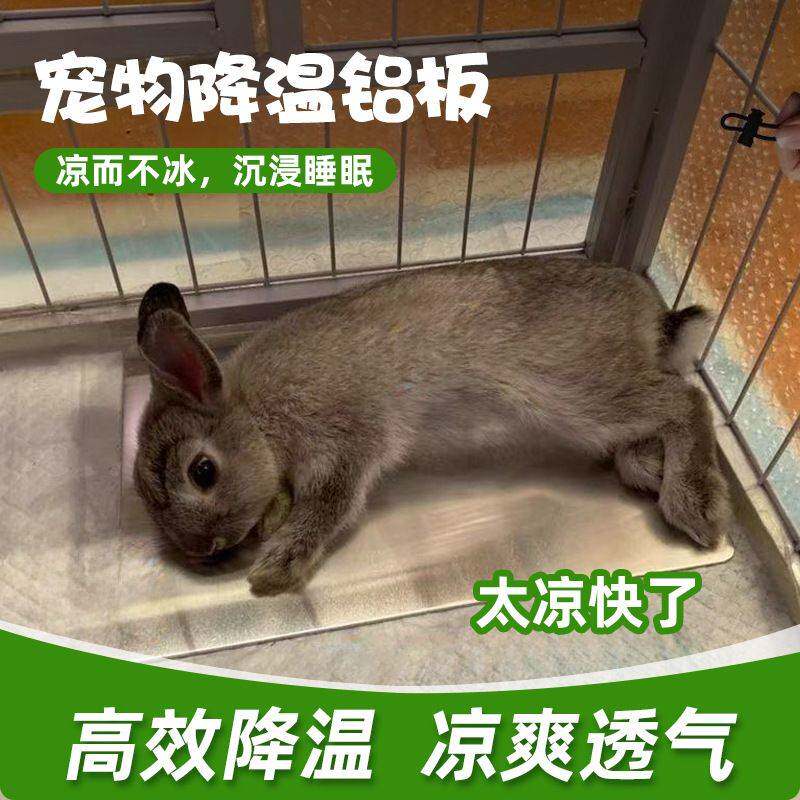 兔子夏季降温铝板仓鼠龙猫散热板