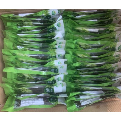 马达加斯加进口香草荚
