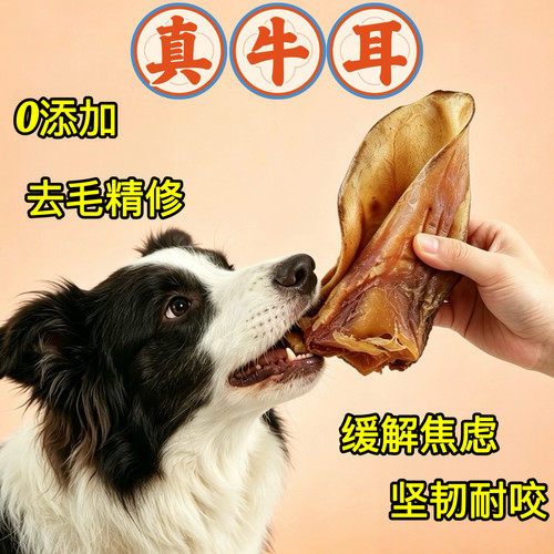 佩特兰迪风干真牛耳狗零食0添加