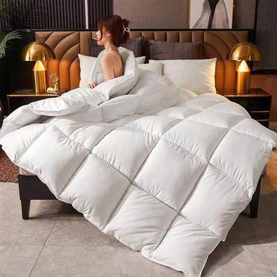 Down Duvet with Cotton Fabric Warm Quilt Comforter Blanket