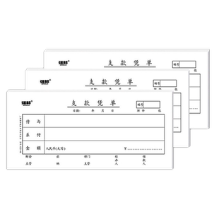 【5本装】强林122-48支款凭单会计凭证 财务用品办公文具 5本价  190×88 mm共500张 48开凭证单据