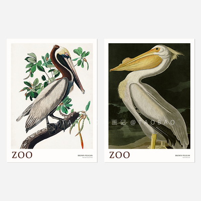 The Zoo Collection中古艺术鸟类动物艺术装饰画海报画芯复古文艺