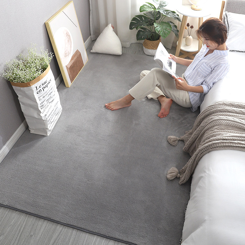 卧室地毯加厚毛绒床边毯满铺大面积客厅房间垫子白色拍照毛毯地垫
