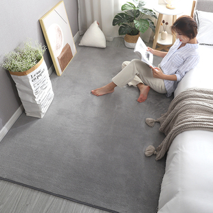 卧室地毯加厚毛绒床边毯满铺大面积客厅房间垫子白色拍照毛毯地垫