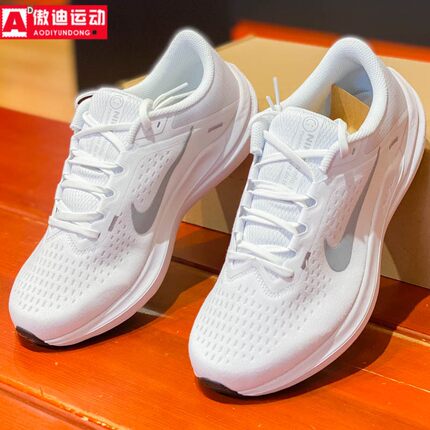 耐克男鞋夏季款AIR WINFLO 10网面透气缓震运动跑步鞋 DV4022-102