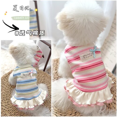 宠物猫咪泰迪比熊小型幼犬狗狗衣服夏天薄款漂亮背心裙子春装新款