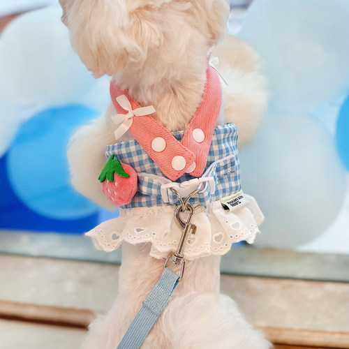 可爱宠物博美泰迪比熊狗狗牵引绳背心小型犬约克夏胸背带遛狗绳子 - 封面