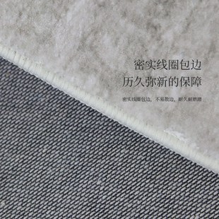 免洗可擦沙发茶几D卧室地垫轻奢高级网红直播地 优选客厅地毯新款