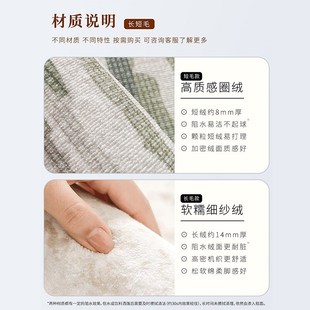 轻奢高级感奶油风家用新款 优选地毯b客厅法式 卧室床边毯沙发茶几