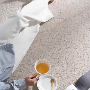 灰驼暖色混纺 优选超柔地d毯客厅奶油风茶几毯高端轻奢高级感新款