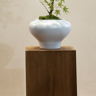 精选流泉枫仿真绿植假花高端轻奢新中式I茶室装饰禅意玄关摆件小