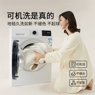 可拆洗中古轻奢地毯客厅2025新款 精选 可机洗沙发Z茶几卧室床