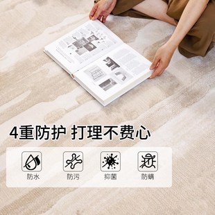 精选进口客厅卧室地毯别墅高级轻C奢高端高密度防水免洗可擦沙发