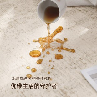 轻u奢高级免洗可擦地垫大面积全铺卧室防滑 精选地毯客厅2025新款