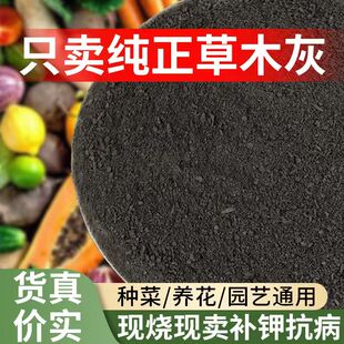 种菜用的草木灰纯天然种菜肥料稻草灰杀菌蔬菜果树家庭园艺肥料