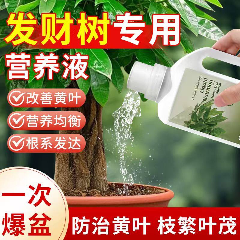 发财树专用营养液免稀释专治黄叶烂根补充氮磷钾专用颗粒肥爆盆肥,鲜花速递/花卉仿真/绿植园艺,家庭园艺肥料,淘宝优惠券,粉丝福利购,淘宝优惠卷