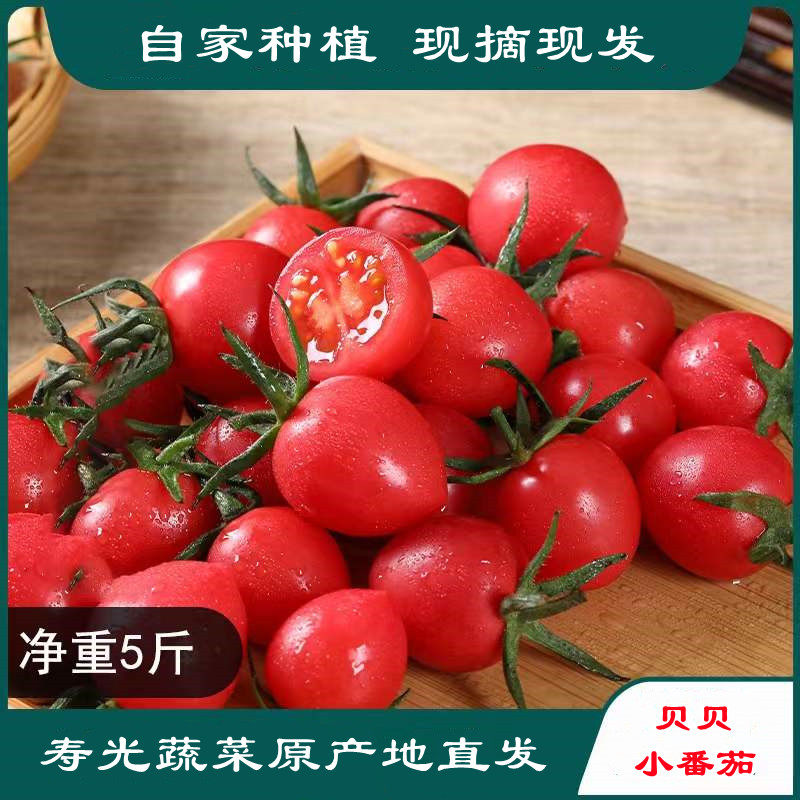 新鲜圣女果寿光贝贝小番茄樱桃