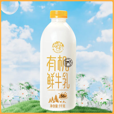 乍甸云南红河有机鲜牛奶