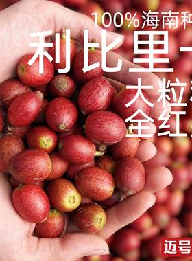 大粒种利比里卡Liberica纯咖啡豆迈号蜜处理日晒醇厚浓郁教学罕见