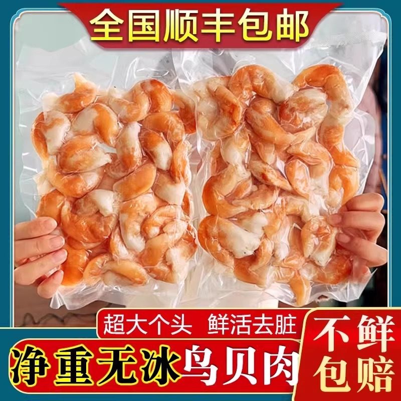 新鲜鸟贝肉刺身鲜活冷冻新鲜去壳有内脏大连海鲜烧烤捞汁商用包邮,水产肉类/新鲜蔬果/熟食,贝类制品,淘宝优惠券,粉丝福利购,淘宝优惠卷