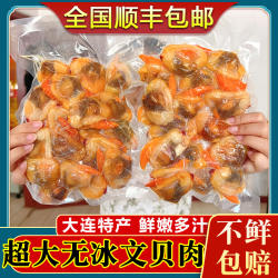大连超大文贝肉鲜活冷冻花甲丹东黄蚬子肉蛤蜊肉花蛤无沙400g顺丰