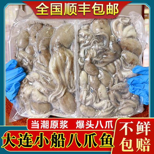 中驰生鲜新鲜小八爪野生3斤包邮