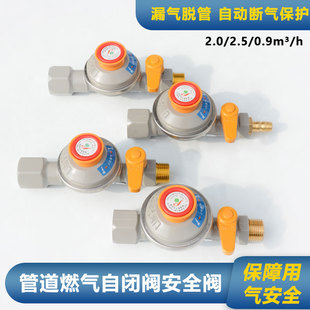 世亚燃气自闭阀家用管道天然气防泄漏安全阀螺纹插口
